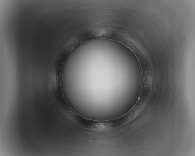 X0000102000558200807251248