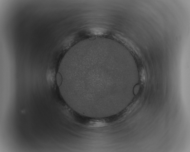 X0000102000559200807251248