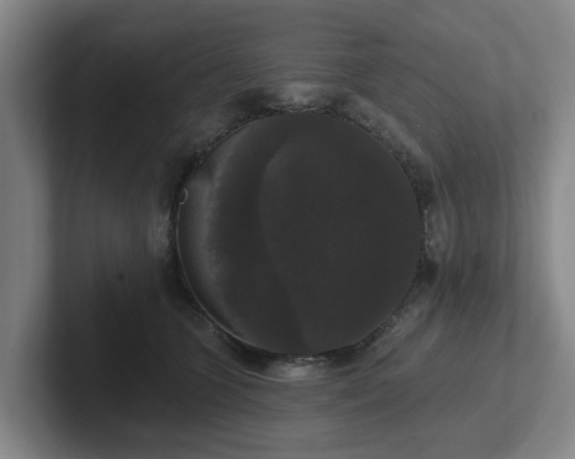 X0000102000563200807251248