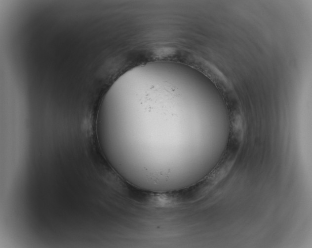 X0000102000565200807251248