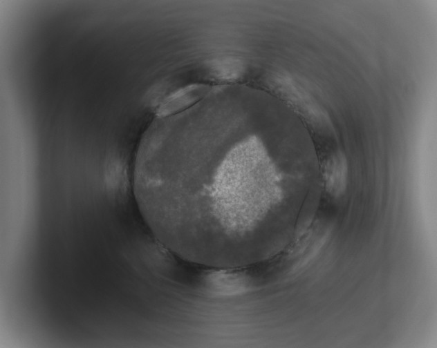 X0000102000568200807251248