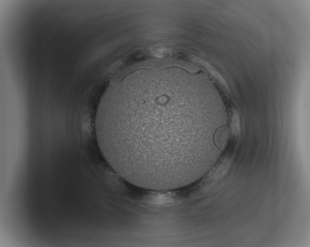 X0000102000569200807251248