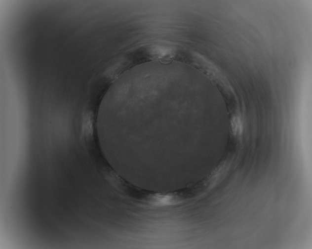 X0000102000570200807251248