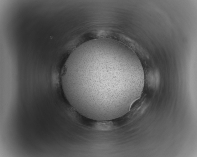 X0000102000571200807251248