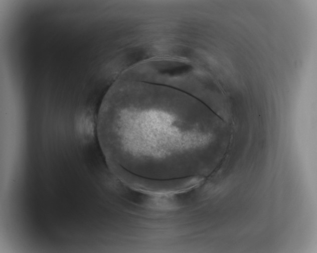 X0000102000576200807251248