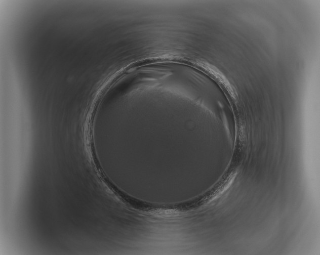 X0000102000577200807251248