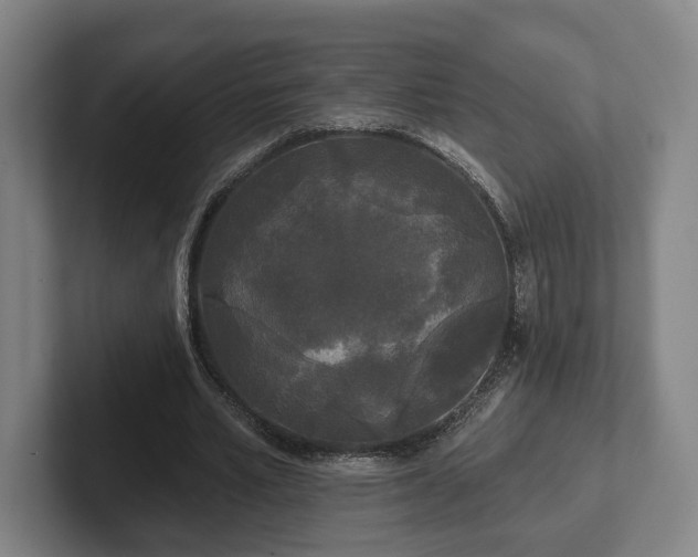 X0000102000581200807251248