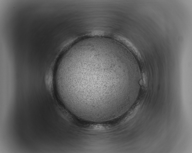 X0000102000588200807251248