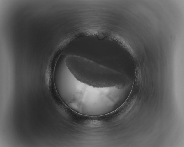 X0000102000590200807251248