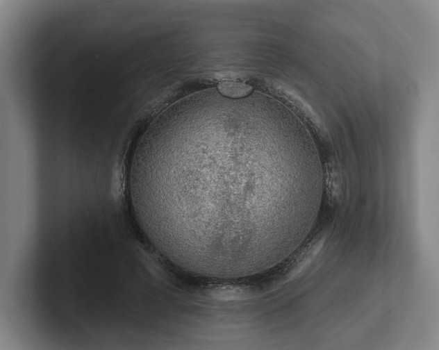 X0000102000593200807251248