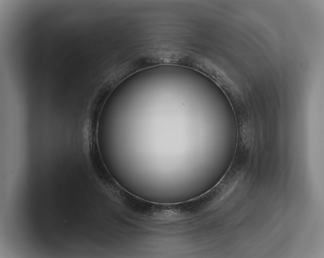 X0000102000594200807251247