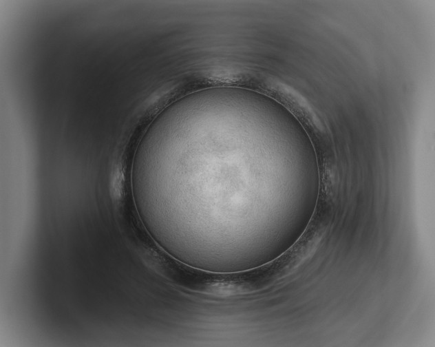 X0000102000596200807251247