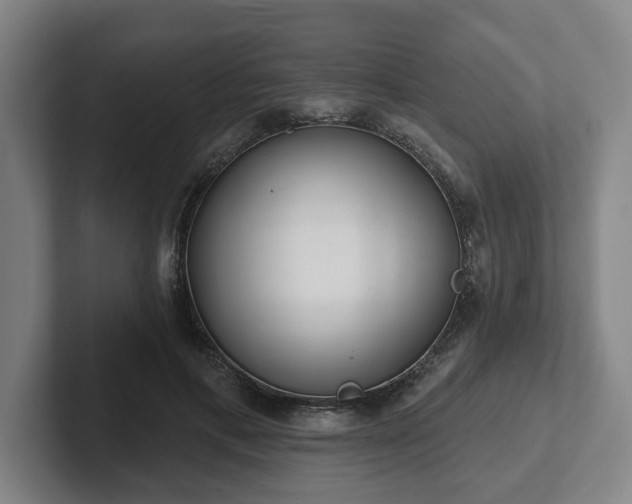 X0000102000597200807251247