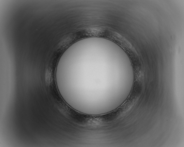 X0000102000599200807251247