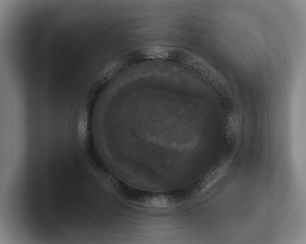 X0000102000600200807251247