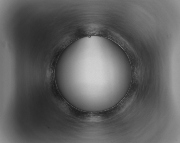 X0000102000601200807251247