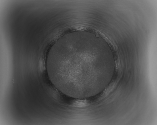 X0000102000606200807251247