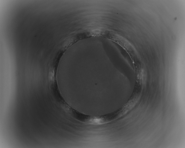 X0000102000610200807251247