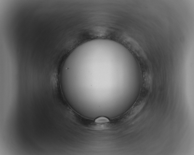 X0000102000612200807251247