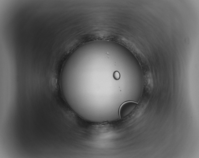 X0000102000615200807251247