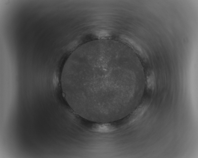 X0000102000618200807251247