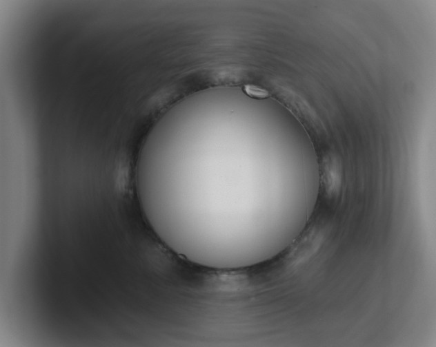 X0000102000619200807251247