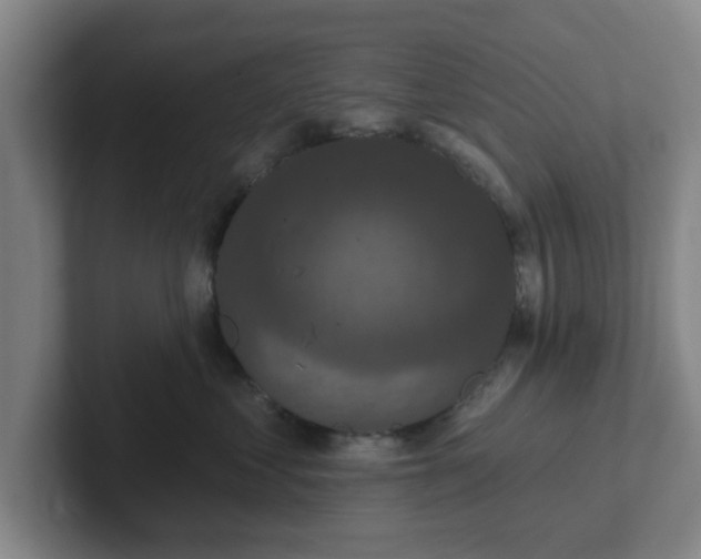 X0000102000621200807251247