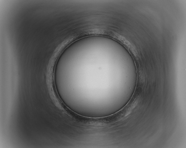 X0000102000625200807251246