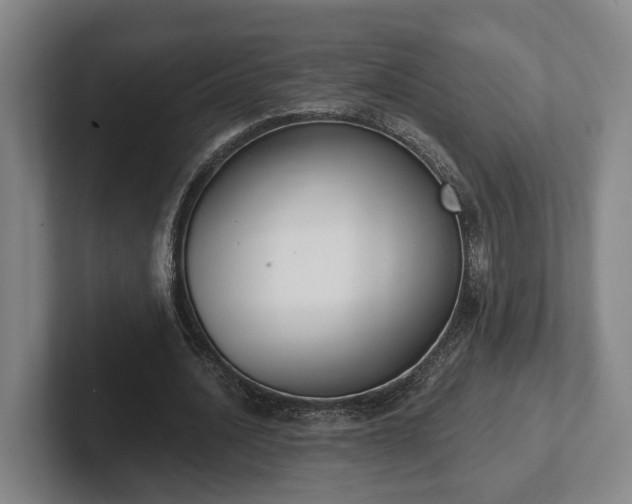 X0000102000628200807251247