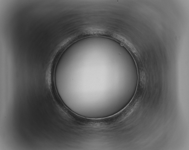 X0000102000629200807251247