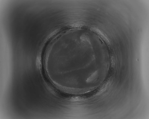 X0000102000634200807251247