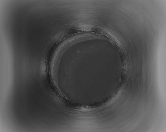 X0000102000641200807251247