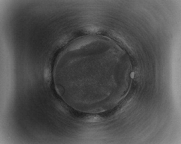 X0000102000642200807251247