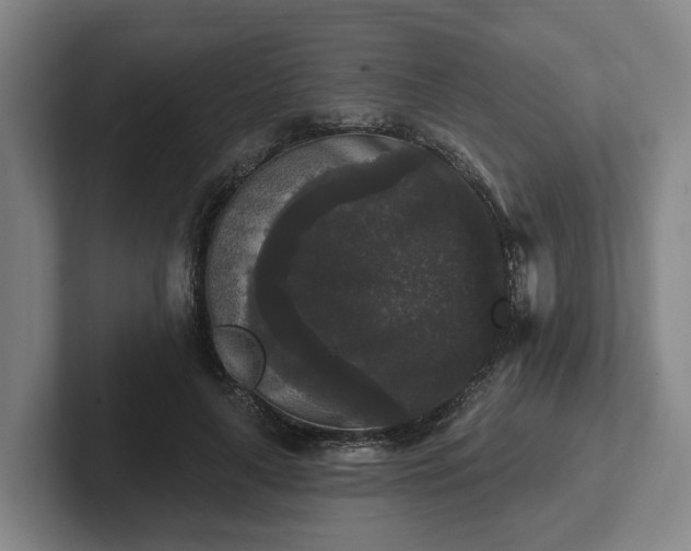 X0000102000643200807251247