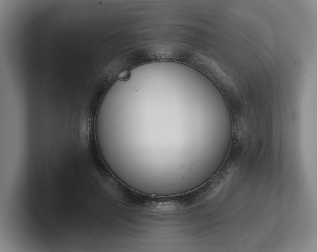 X0000102000645200807251247