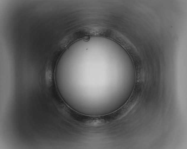 X0000102000646200807251247