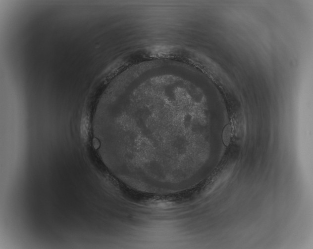 X0000102000648200807251247