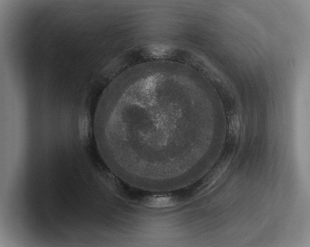 X0000102000651200807251247