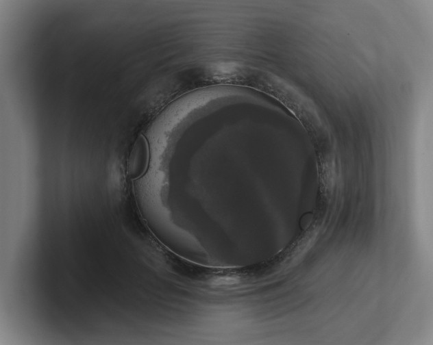 X0000102000653200807251247