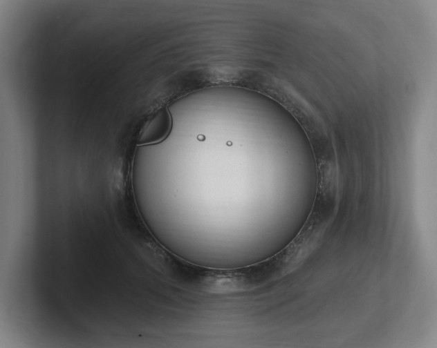 X0000102000655200807251247