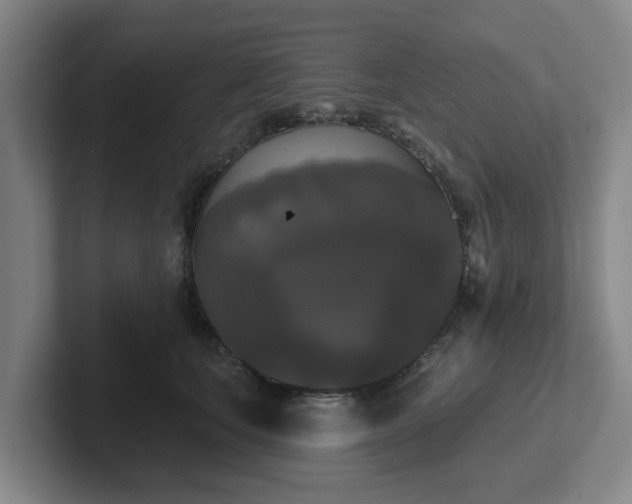 X0000102000659200807251247