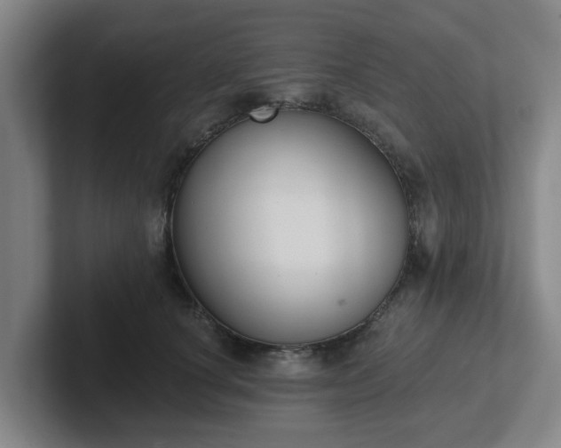 X0000102000660200807251247