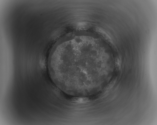 X0000102000663200807251247