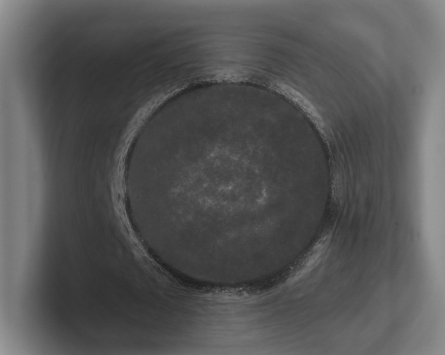 X0000102000673200807251246