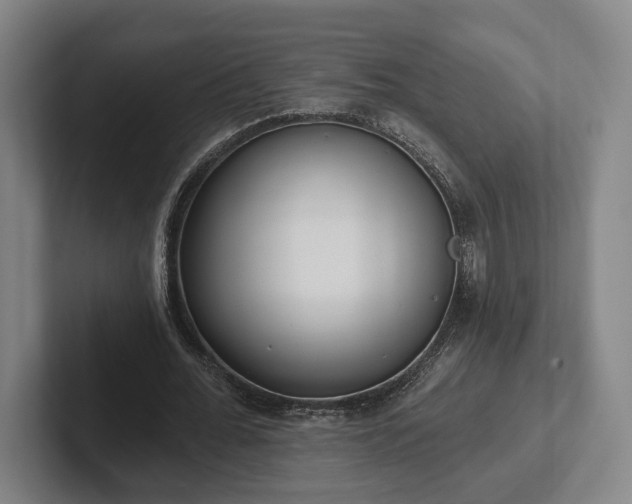 X0000102000676200807251246