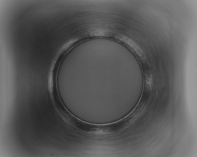 X0000102000678200807251246