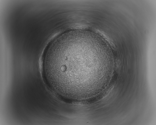 X0000102000679200807251246