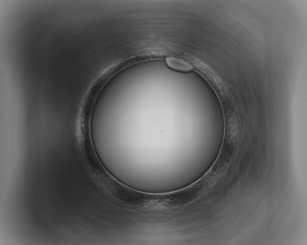 X0000102000680200807251246