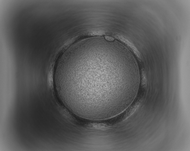 X0000102000681200807251246