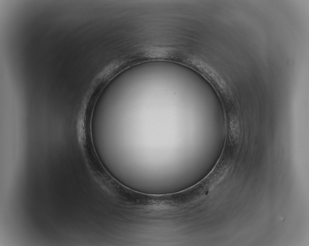 X0000102000682200807251246